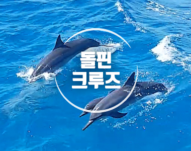 돌핀크루즈
