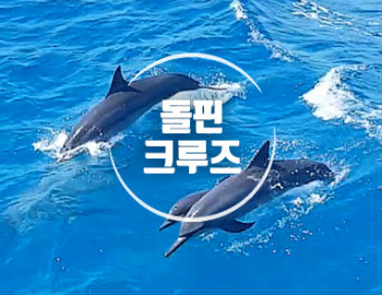 돌핀크루즈