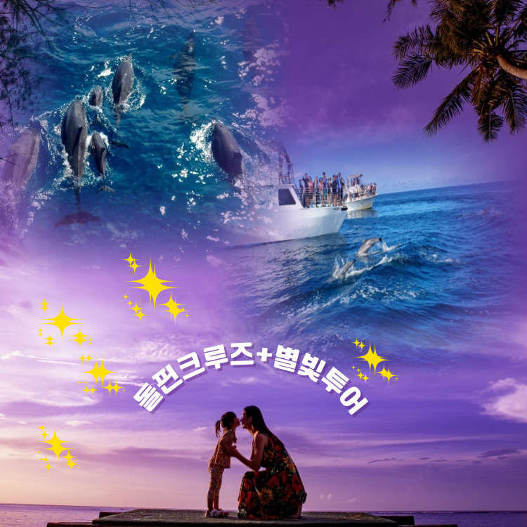 돌핀투어+별빛투어