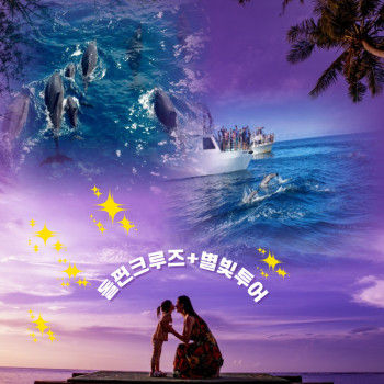 돌핀투어+별빛투어